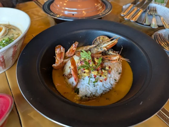 Nood Saldanha - THAI TIGER