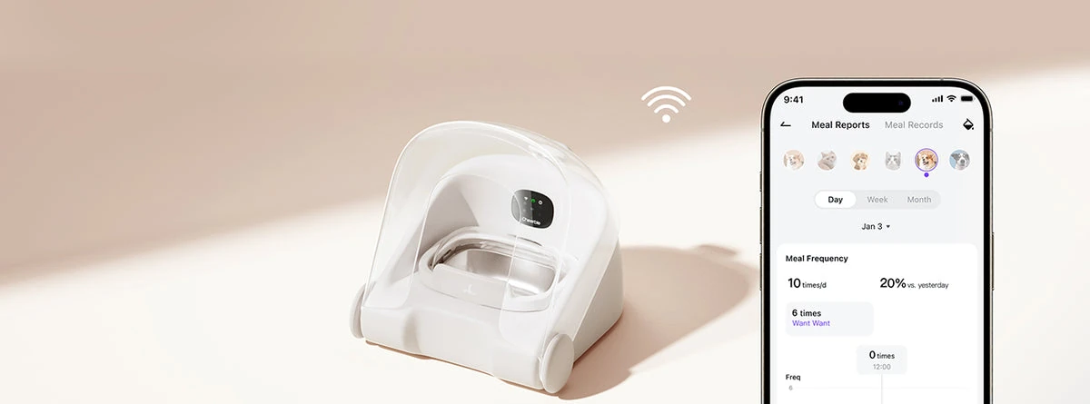 Pet Feeder Match G1 Cheerble