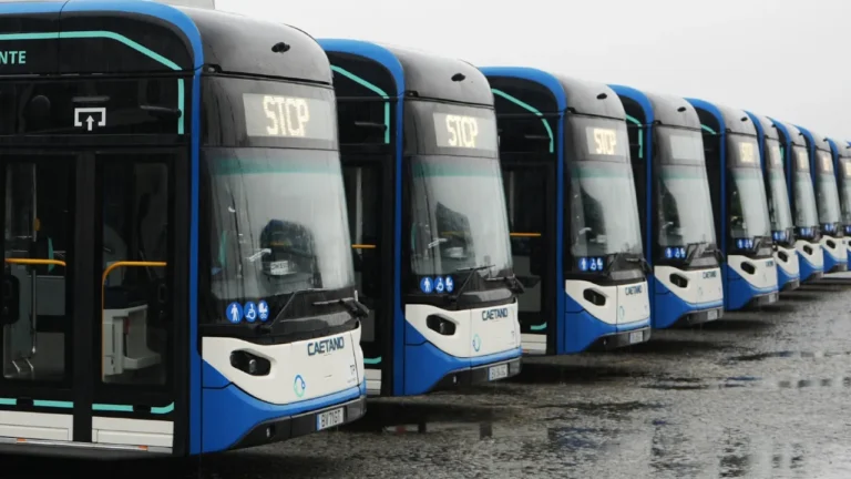 STCP ajusta rede com a chegada do MetroBus e reforça ligações na cidade do Porto
