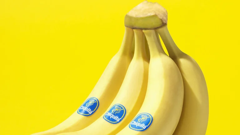 Chiquita abre novo centro de distribuição no Montijo