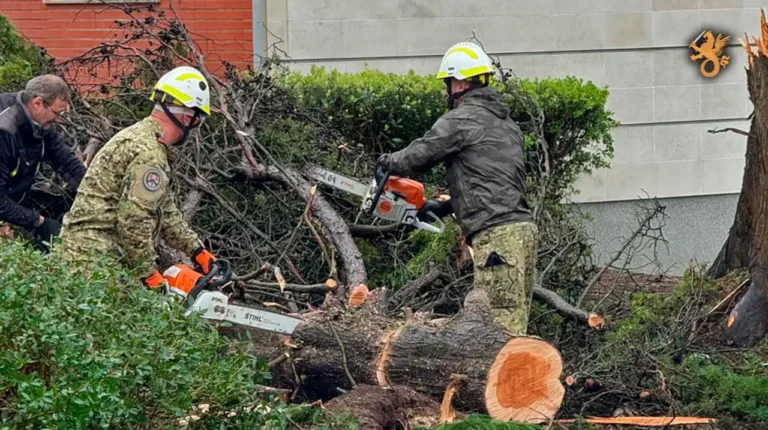 Mais de mil militares apoiam populações afetadas pela tempestade Kristin