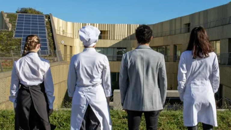 Gastronomy Innovation Campus quer replicar em Portugal o sucesso do Basque Culinary Center