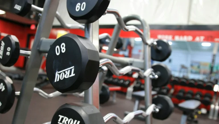 Mr Big Evolution. Fica em Cascais o maior ginásio da Europa