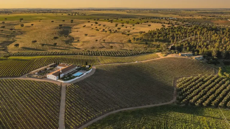 Herdade da Malhadinha Nova faz história no turismo nacional com a obtenção da certificação B Corp