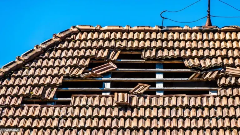 Leiria lança Operação Telhado Solidário para reparar casas danificadas pela tempestade Kristin