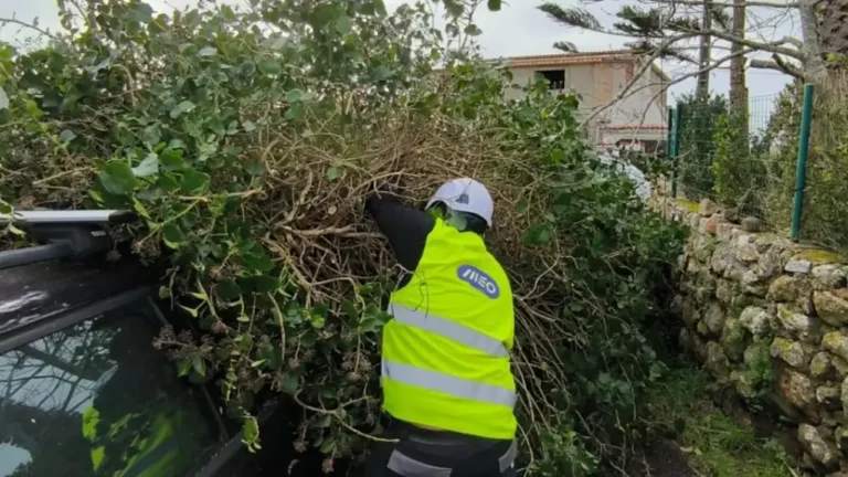 MEO disponibiliza dados ilimitados e MEO Go fora de casa nas áreas afetadas pela tempestade