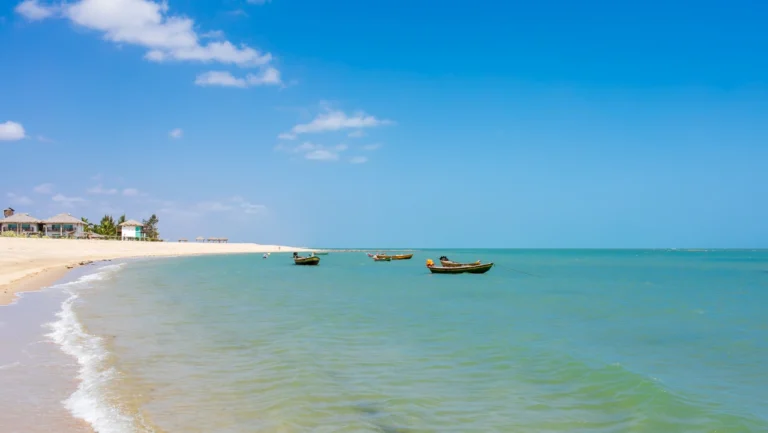 Estado brasileiro Piauí bate recorde de turistas e afirma-se em Lisboa como destino de ecoturismo