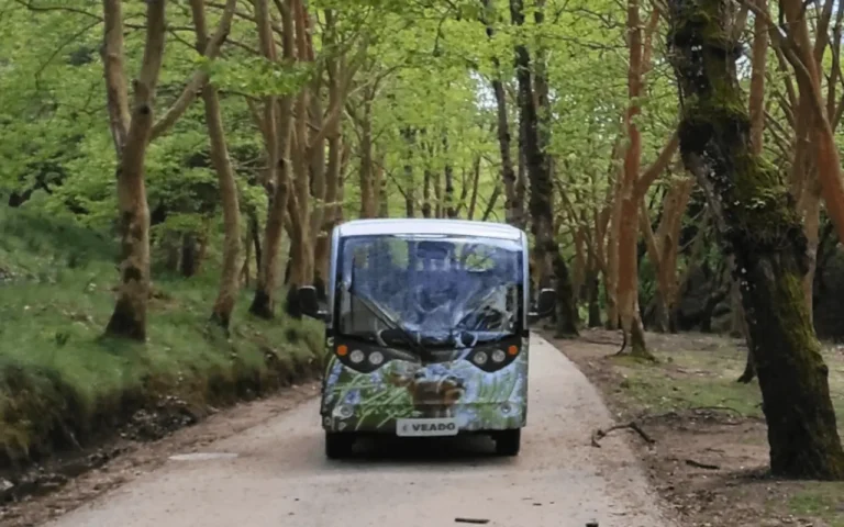 Tapada Nacional de Mafra reabriu ao público com acompanhamento obrigatório de guia em todas as experiências