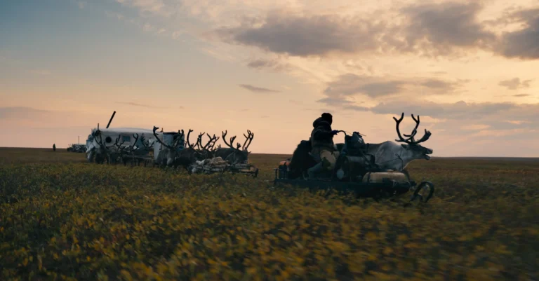 Produtora portuguesa Alecrim Vagabundo distinguida por fundo internacional de documentário científico