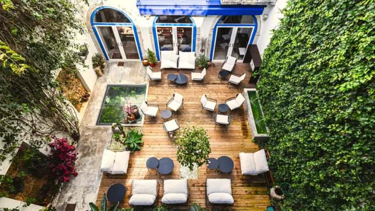 No Alma54, o vinho português é o protagonista e o jardim é o pano de fundo