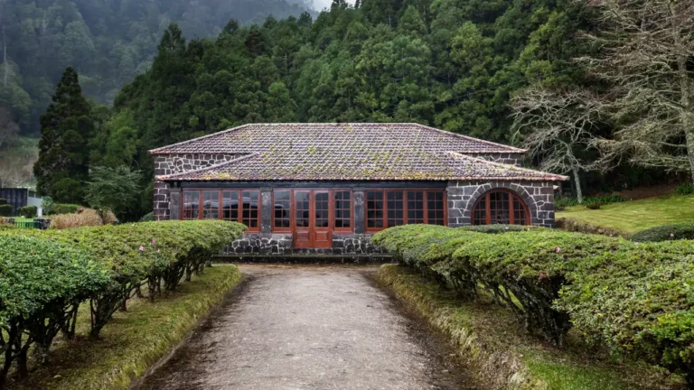 Bensaude Hotels reabilita Casa dos Barcos e inaugura Camélia Delicatesse nas Furnas