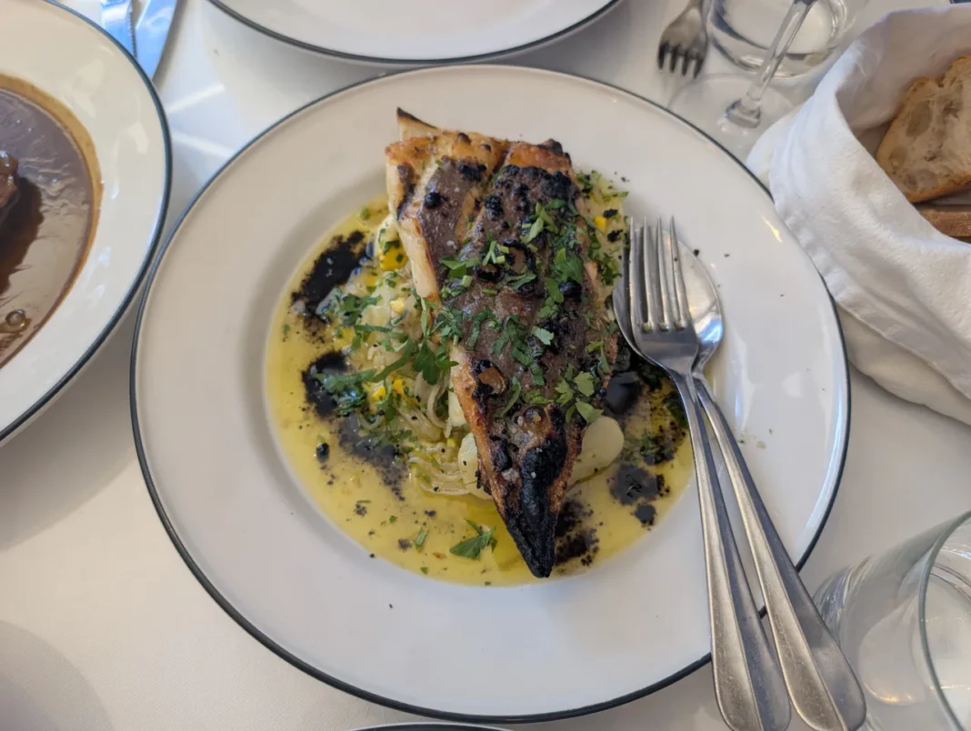 Chico Esperto - Raia de Cura Portuguesa &agrave; Gomes de S&aacute;