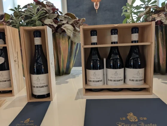 Pa&ccedil;o dos Cunhas - Clos de Santar