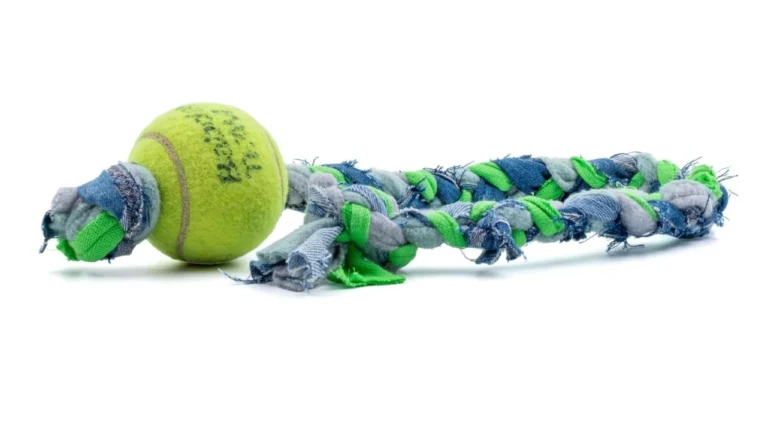 EPAL inaugura espaço PET Friendly na loja da sua sede