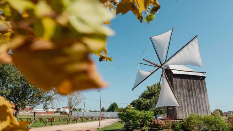 Festival dos Moinhos de Portugal regressa com mais de 50 experiências