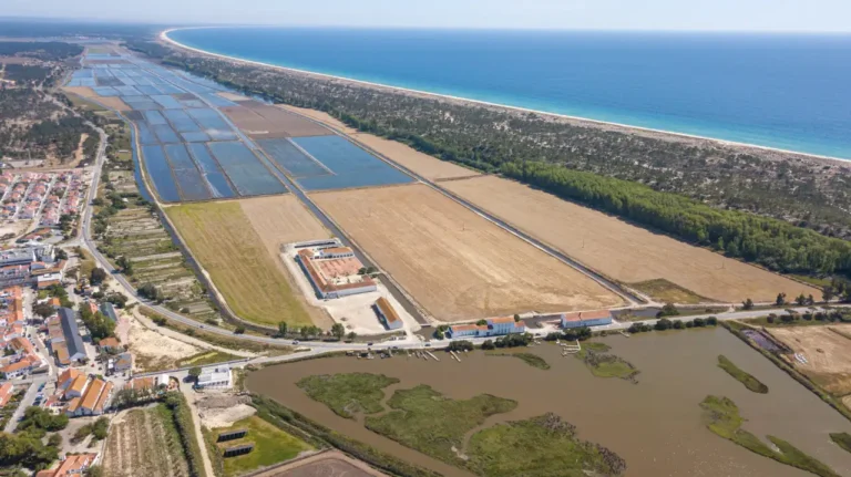 Fundo americano oferece 203 milhões de euros pela Herdade da Comporta