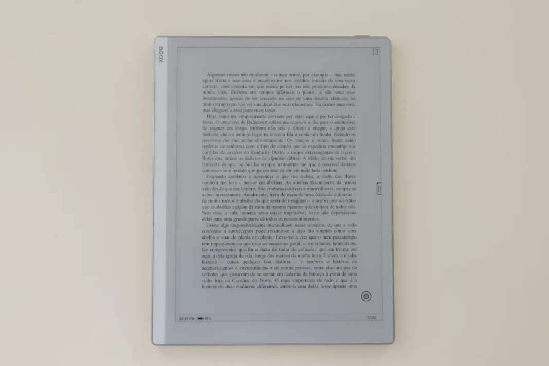 Boox Go 10.3 - leitura