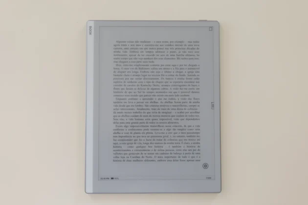 Boox Go 10.3 - leitura