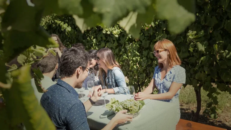 Aveleda lança ciclo de provas vínicas com estreia dedicada aos vinhos verdes