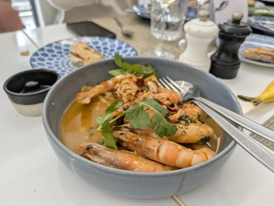 Saldanha Mar - Camar&atilde;o Pil-Pil