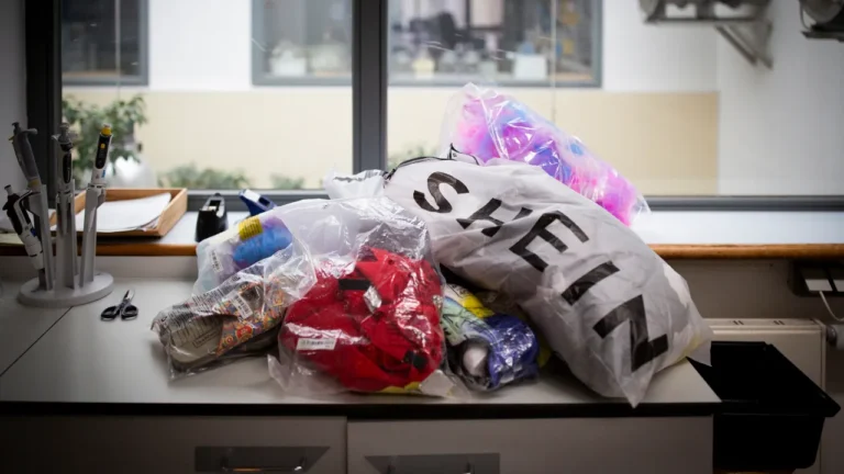 Shein volta a ser denunciada por vender roupa com substâncias químicas acima dos limites legais