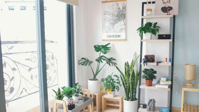 Tendências de decoração 2026: o que vai estar na moda nas salas de estar portuguesas