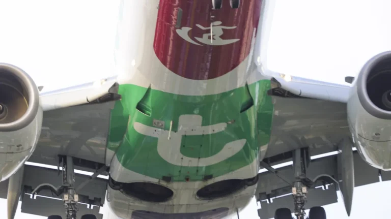 Transavia alarga benefícios da tarifa Max e permite alterar voos no mesmo dia