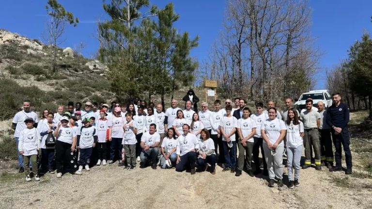 Vila Galé conclui projeto de reflorestação na Serra da Estrela com 32.000 árvores plantadas