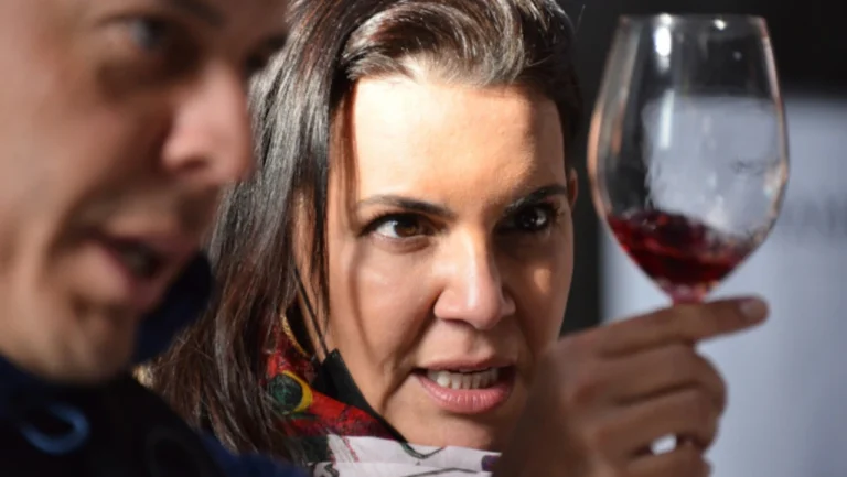 Vinhos a Descobrir regressa ao Porto com mais de 30 produtores