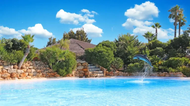 Zoomarine reabre com novas atrações após investimento de 3,8 milhões de euros