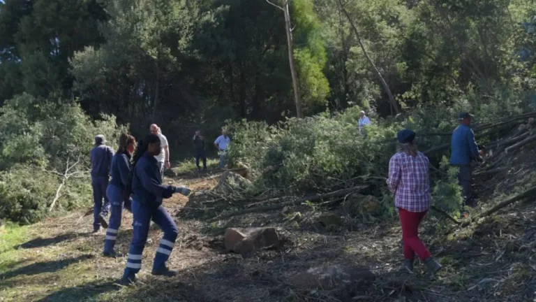 Novo Parque Encostas do Douro vai ligar Cais do Cavaco ao metro