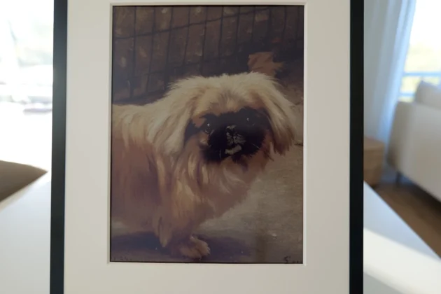 SwitchBot AI Art Frame - pintura a ol&eacute;o de fotografia IA