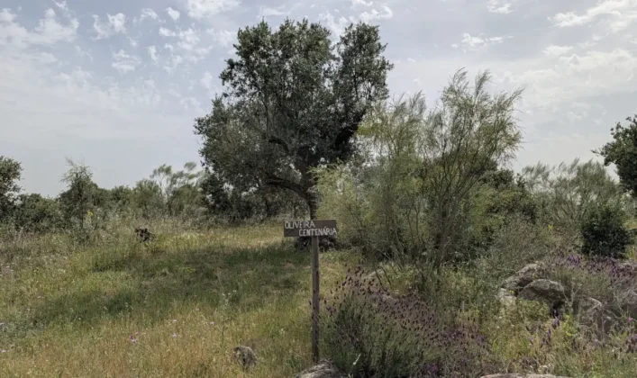Montimerso Skyscape CountryHouse