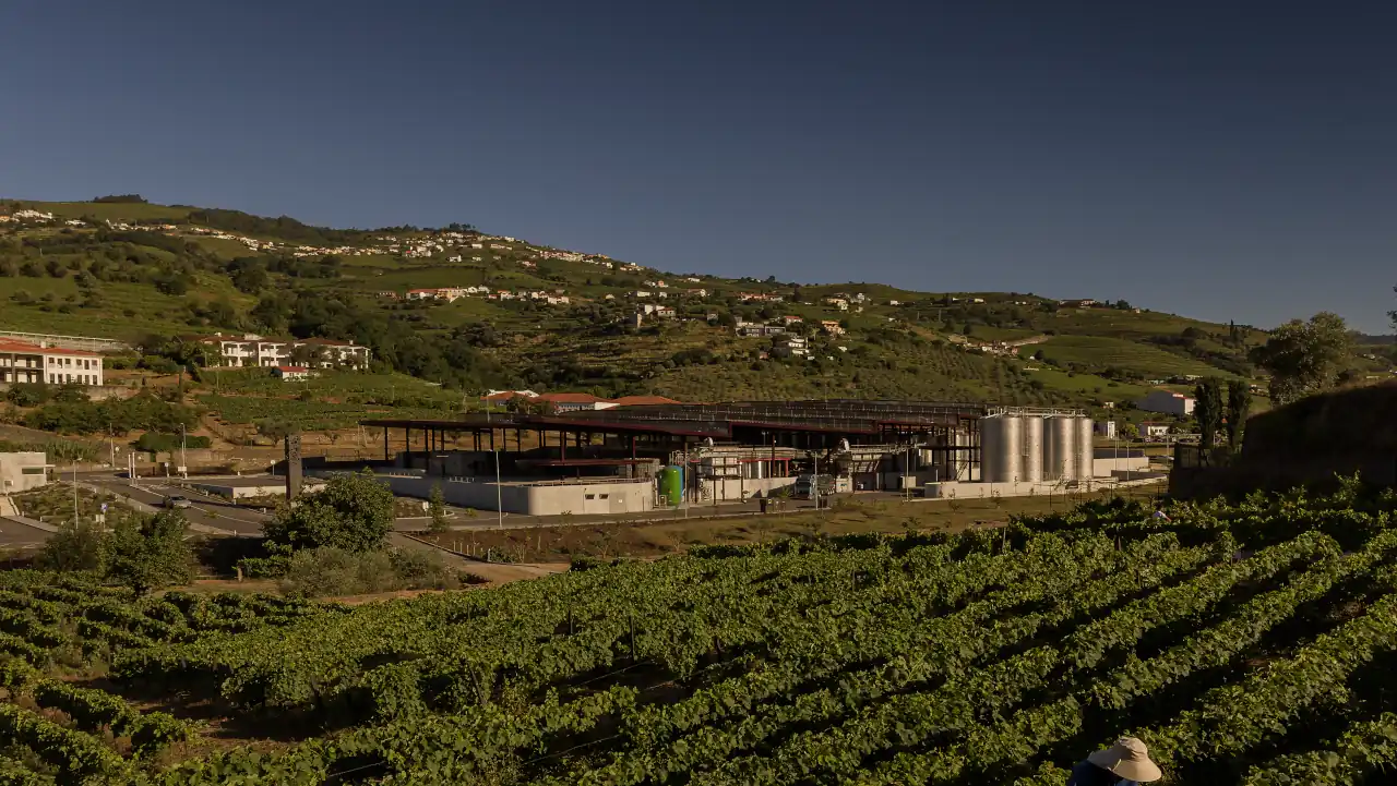 Adega do Cedro