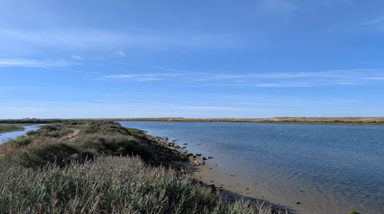 Ria Formosa