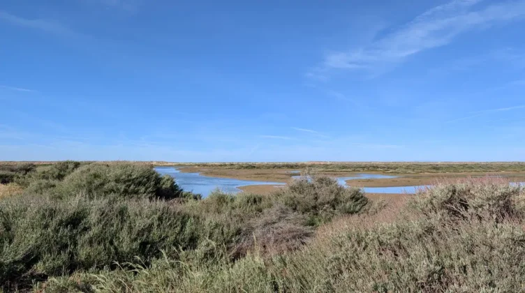 Ria Formosa