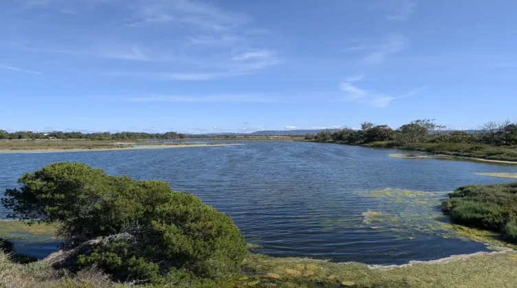 Ria Formosa
