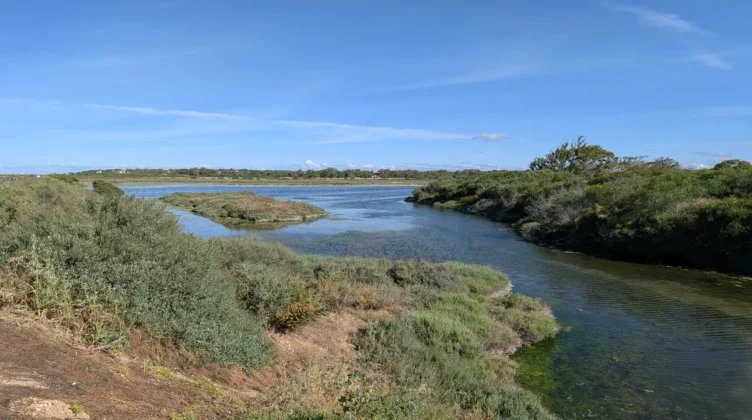 Ria Formosa