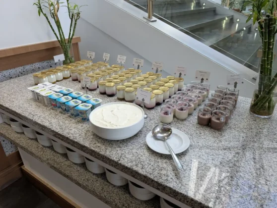 Wyndham Grand Algarve - Grand Bar