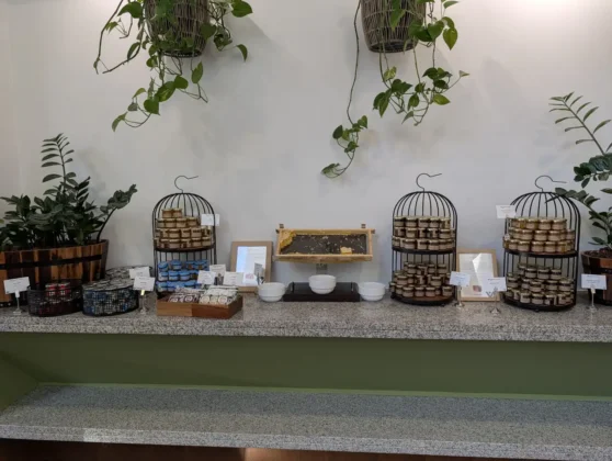 Wyndham Grand Algarve - pequeno-almo&ccedil;o