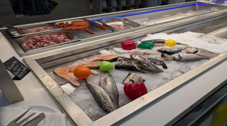novo suculento comida 2