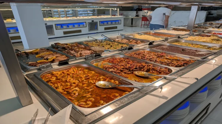 novo suculento comida 3