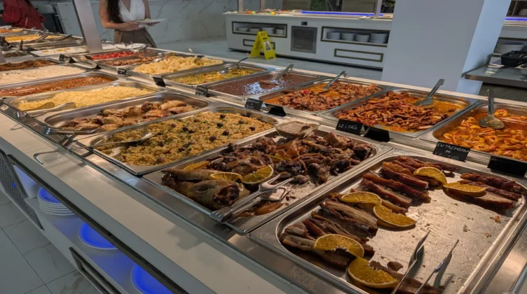 novo suculento comida 4