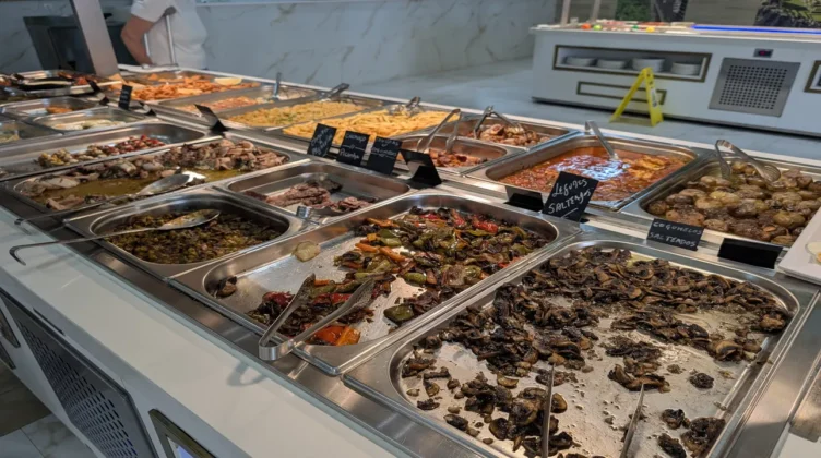novo suculento comida 5