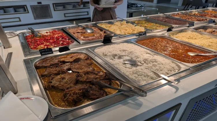 novo suculento comida 6