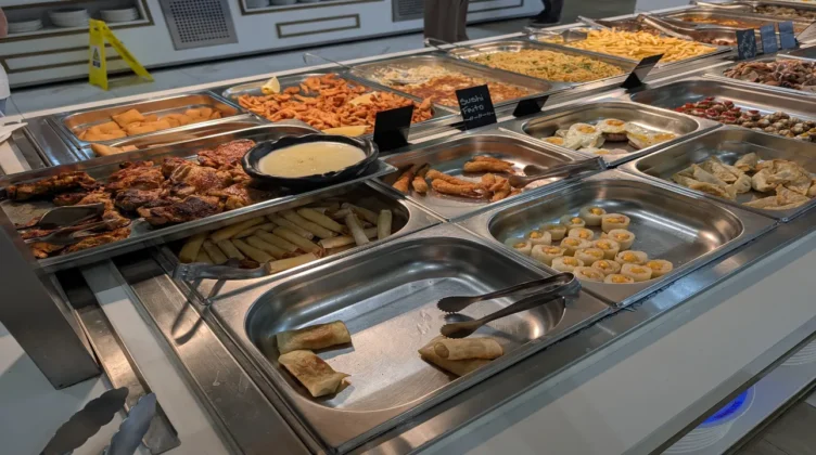 novo suculento comida 7