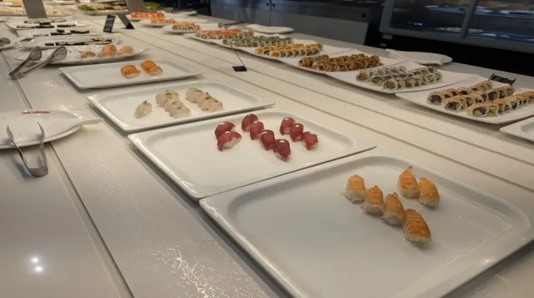 novo suculento comida 8
