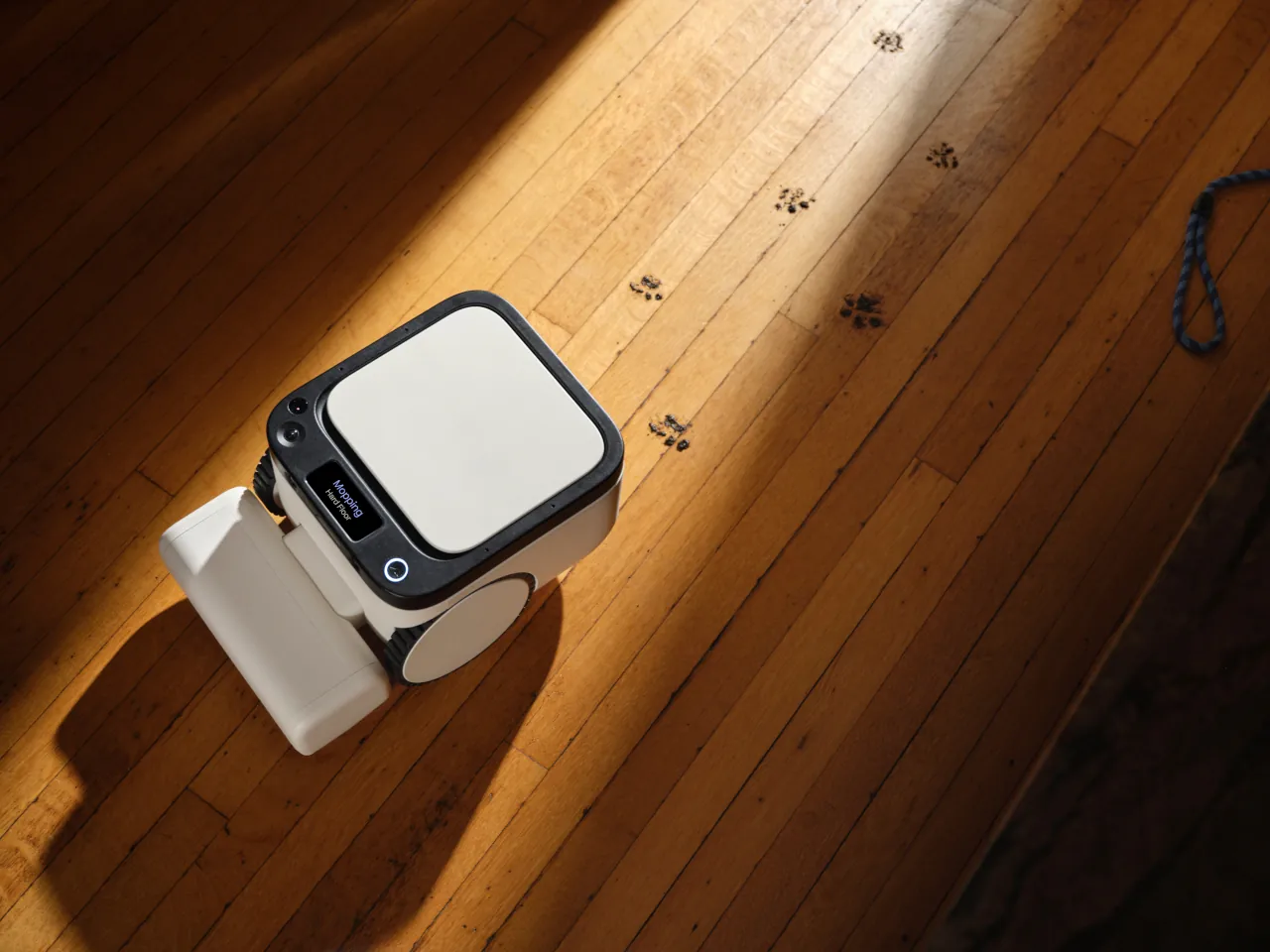 Depois da Roomba e da Dyson, a Matic quer dominar o mercado dos aspiradores robô 1 Matic