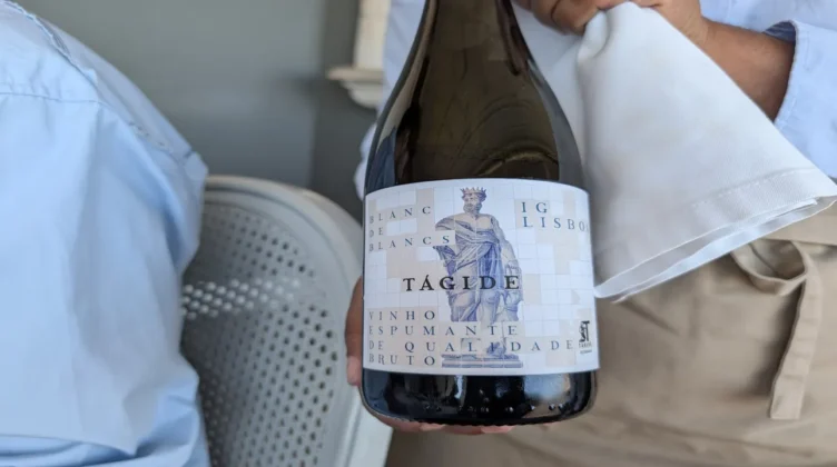 T&aacute;gide - vinho