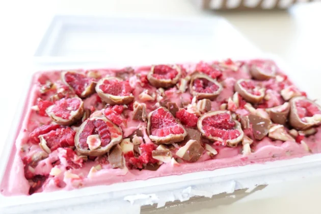 gelado franui artisani pormenor